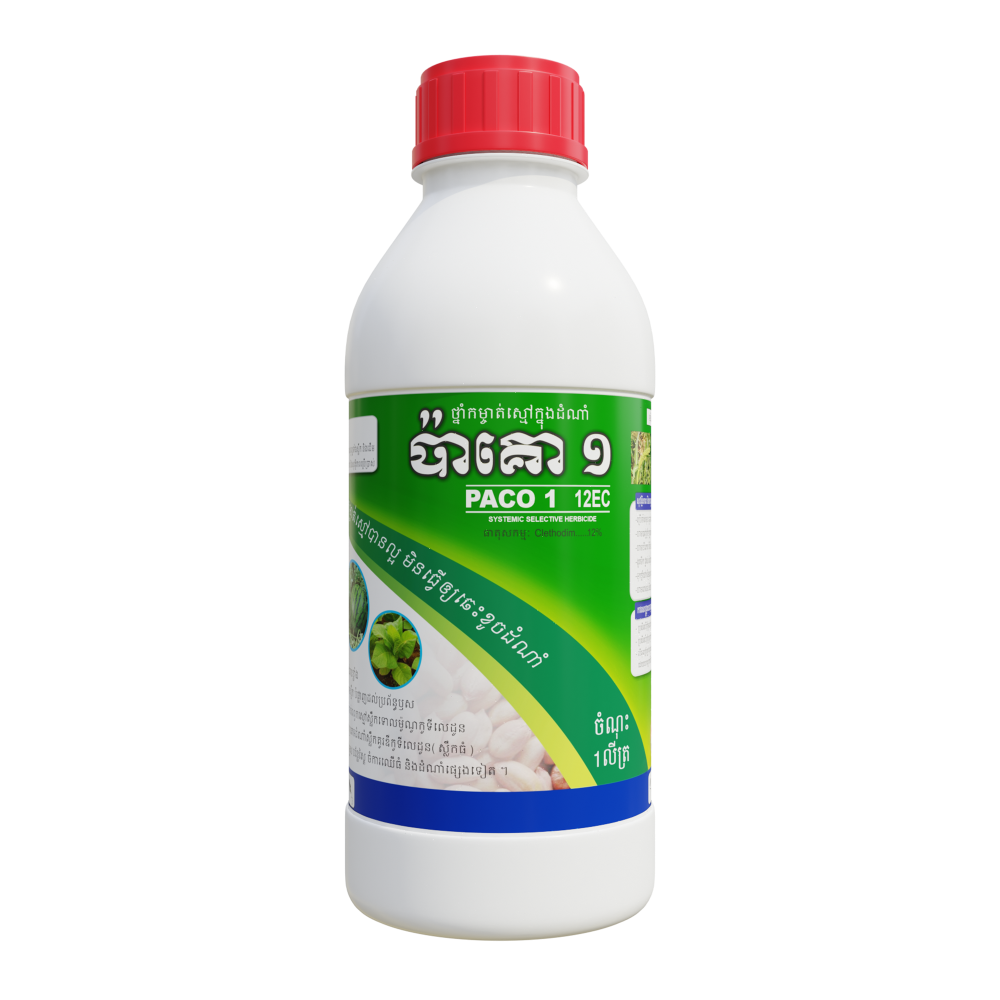 ប៉ាគោ១ 12EC | PACO 1