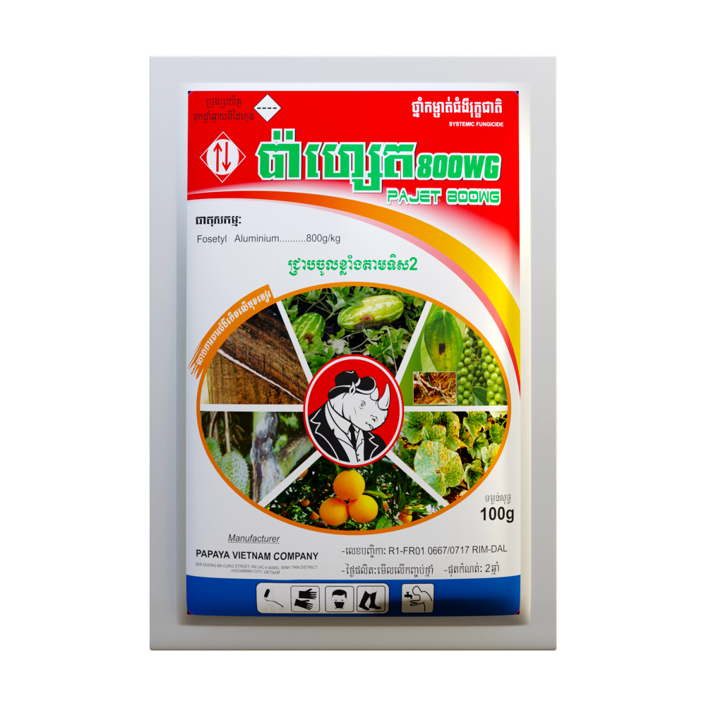 ប៉ាហ្សេត 800WG | PAJET