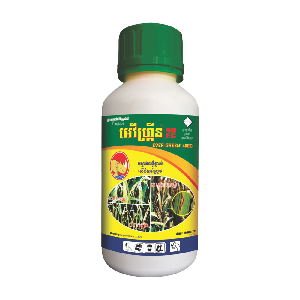 អេវឺហ្គ្រីន 40EC | EVERGREEN