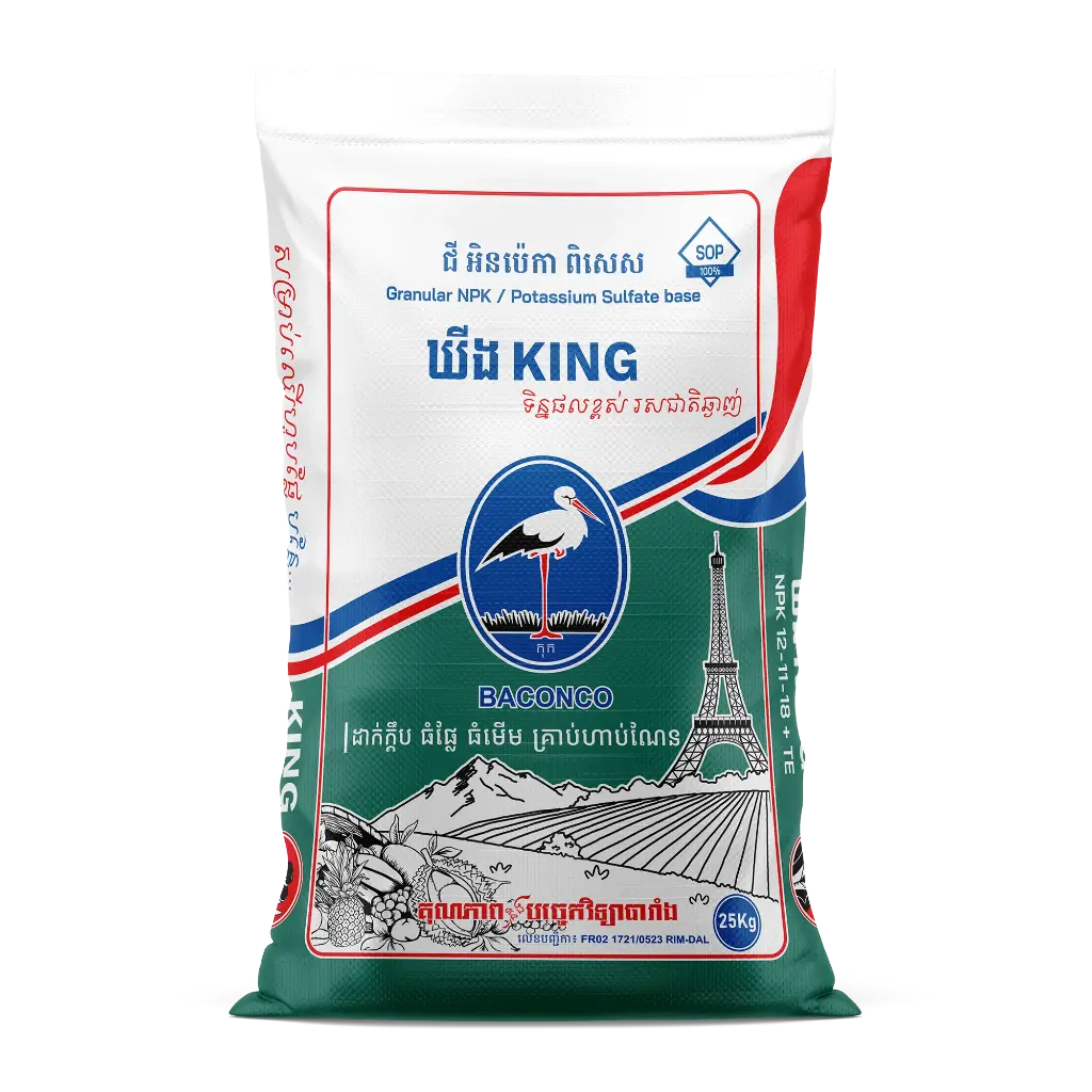 ឃីង KING (12-11-18)