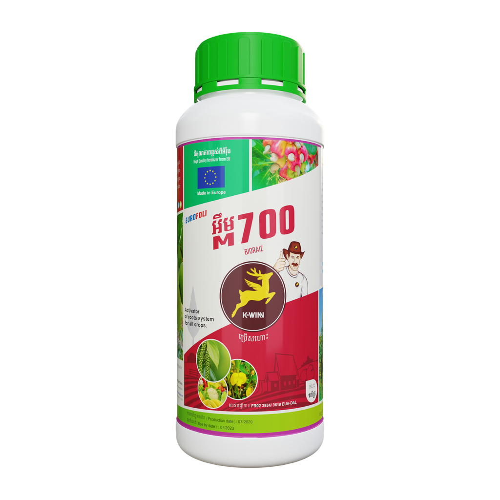 អឺរ៉ូហ្វូលី អឹម 700