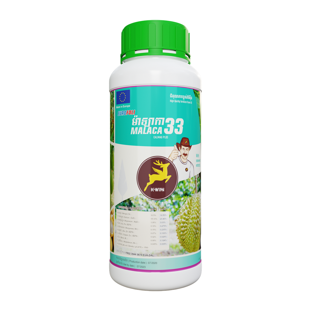 អឺរ៉ូហ្វូលី ម៉ាឡាកា 33