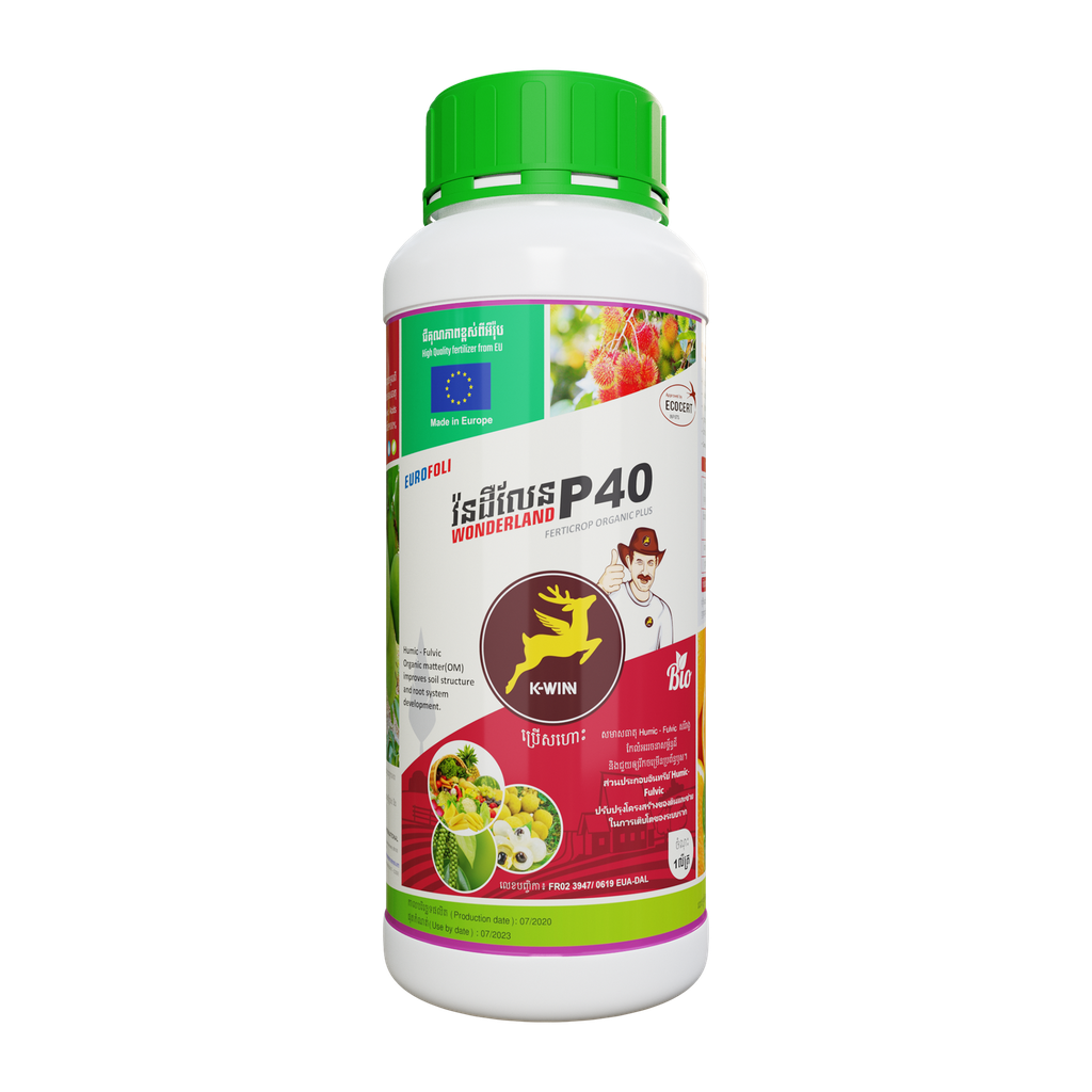 អឺរ៉ូហ្វូលី វ៉នដឺលែន P40