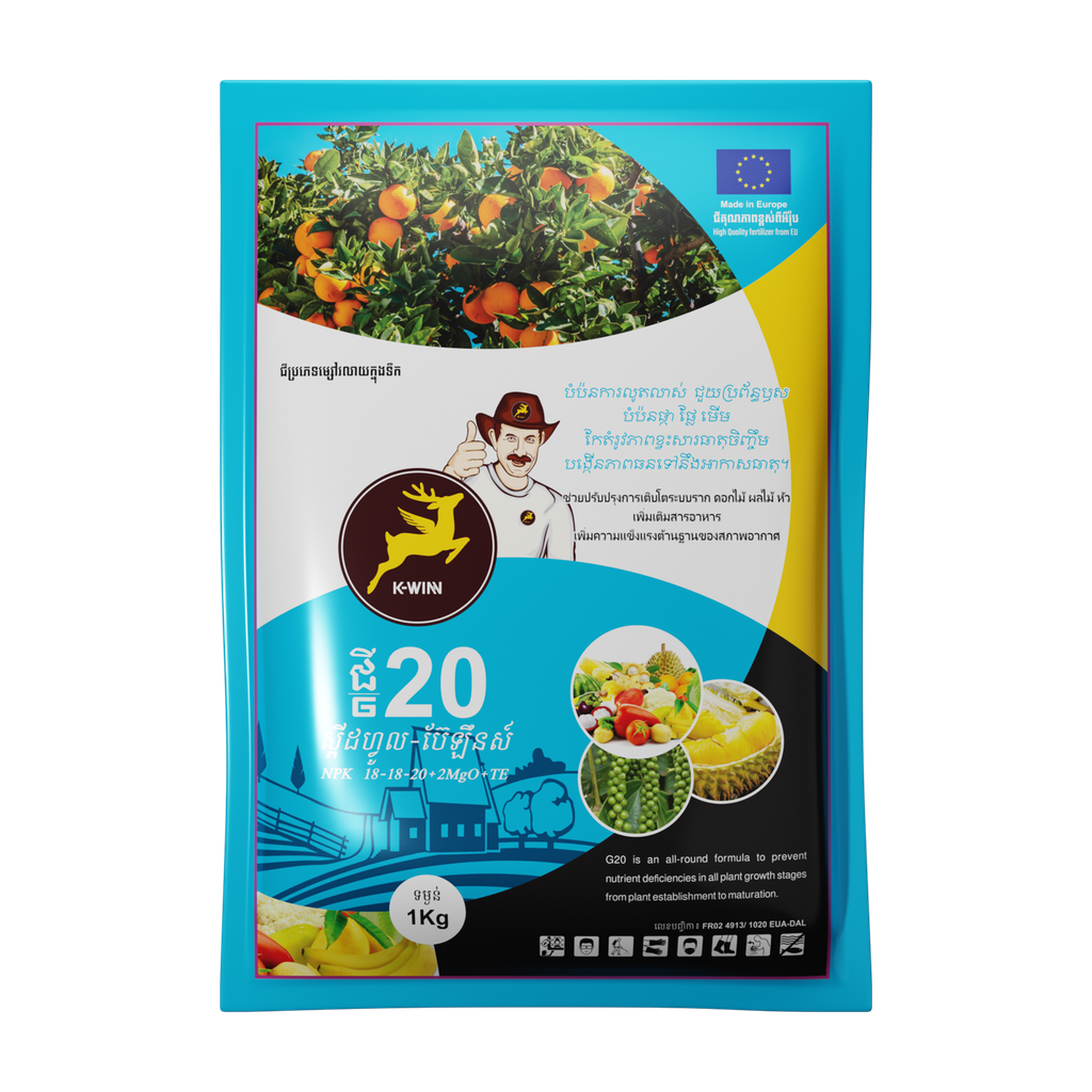 ជី២០ (ស្ពីដហ្វូល ប៊ែឡឹនស៍)