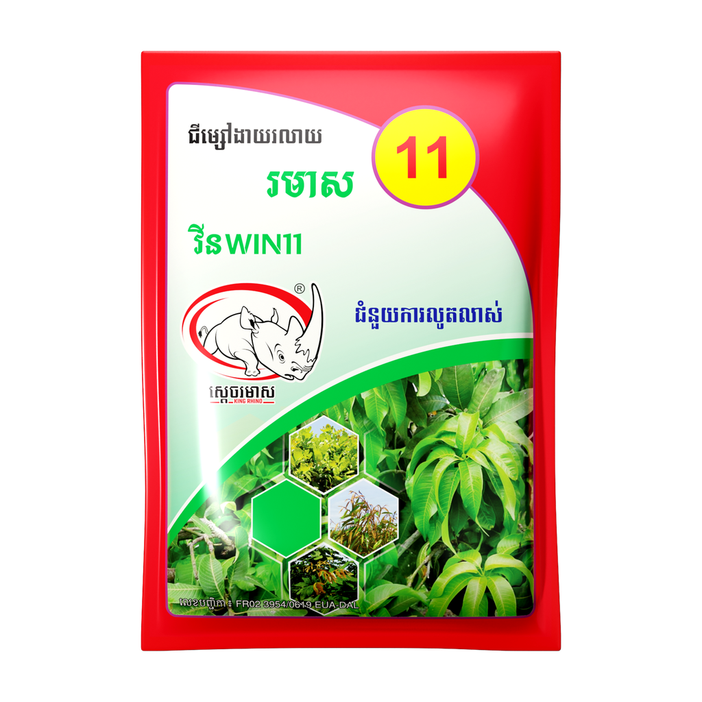 វីន 11