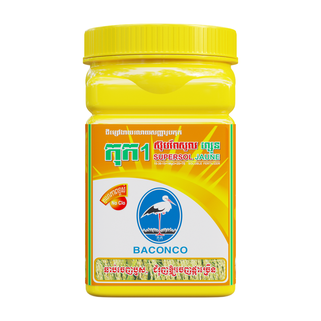កុក១ (ស៊ុបពែសូល ហ្សូន)