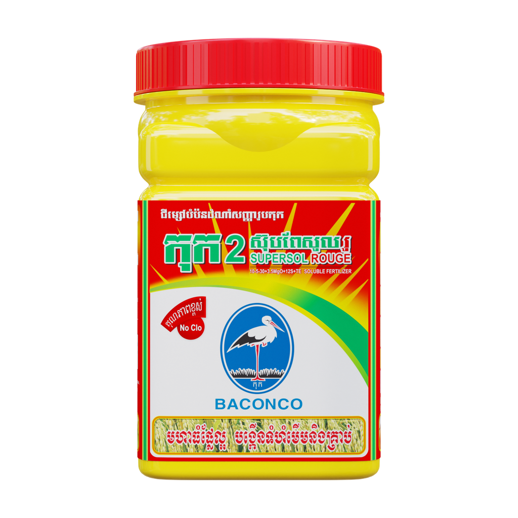 កុក២ (ស៊ុបពែសូល រូ)