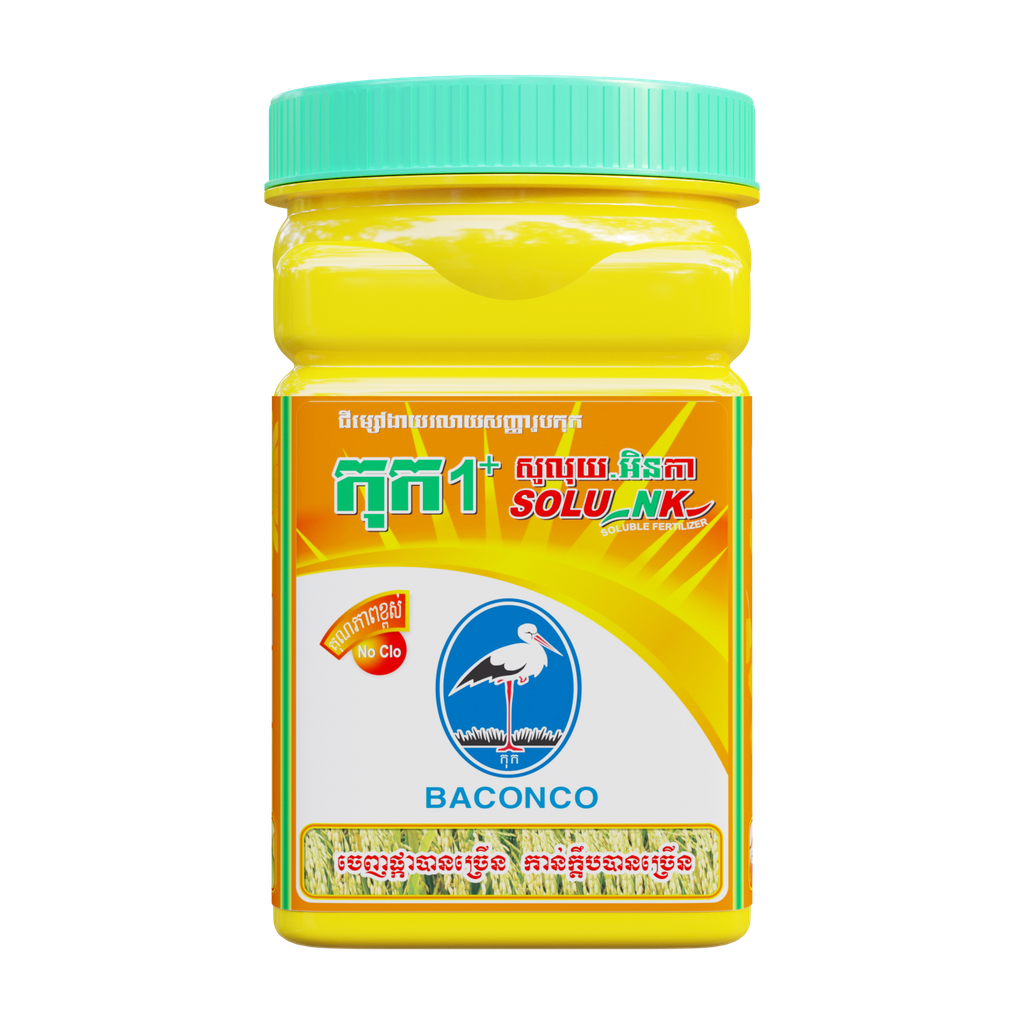 កុក១បូក (សូលុយ-អិនកា)