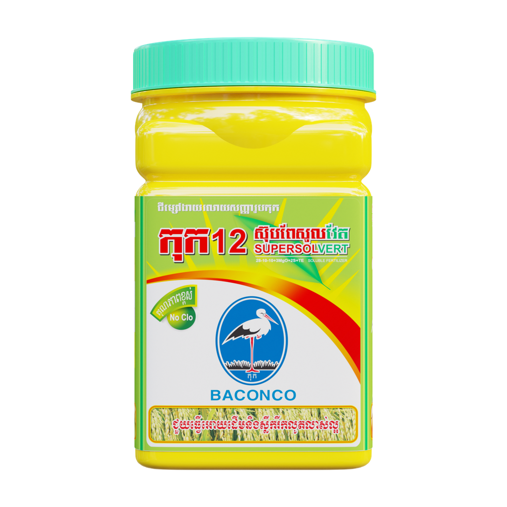 កុក១២ (ស៊ុបពែសូល វេត)