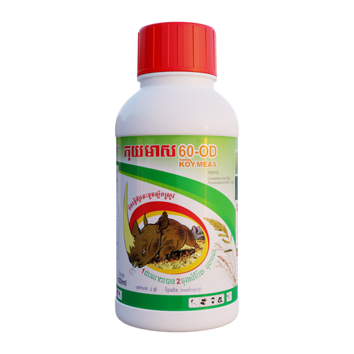 កុយមាស 60OD | KOYMEAS