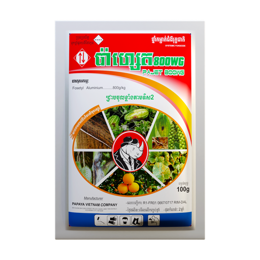 ប៉ាហ្សេត 800WG | PAJET