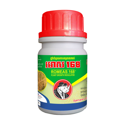 រមាស១៦៨ | ROMEAS 168