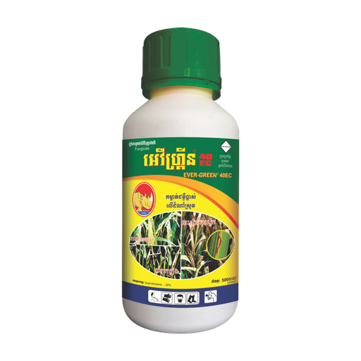 អេវឺហ្គ្រីន 40EC | EVERGREEN