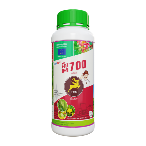 អឺរ៉ូហ្វូលី អឹម 700