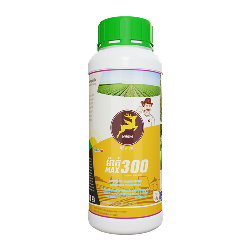 អឺរ៉ូហ្វូលី ម៉ាក់ 300