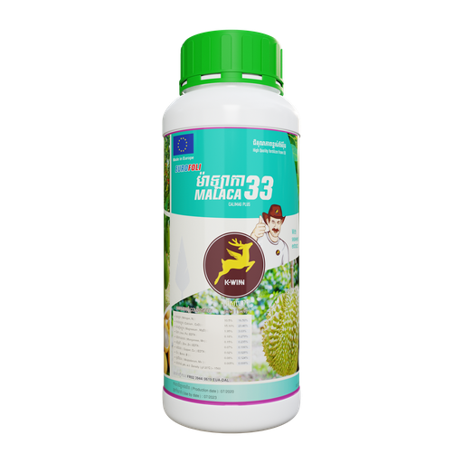 អឺរ៉ូហ្វូលី ម៉ាឡាកា 33