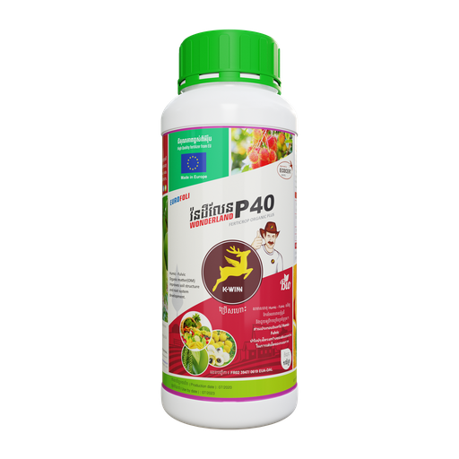 អឺរ៉ូហ្វូលី វ៉នដឺលែន P40
