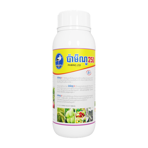 ប៉ាមីណូ 250 (PAMINO 250)
