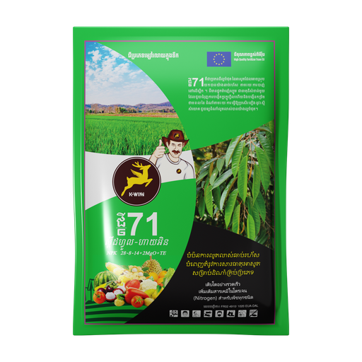 ជី៧១ (ស្ពីដហ្វូល ហាយ អិន)