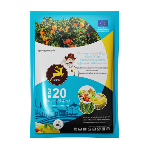ជី២០ (ស្ពីដហ្វូល ប៊ែឡឹនស៍)