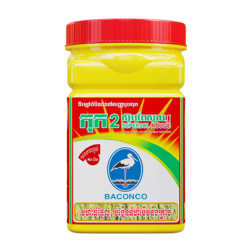 កុក២ (ស៊ុបពែសូល រូ)