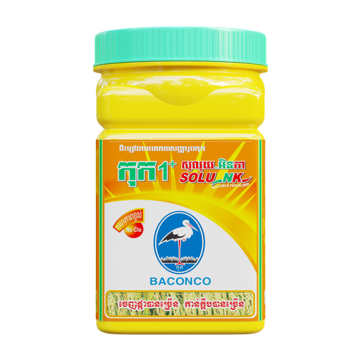 កុក១បូក (សូលុយ-អិនកា)